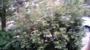 Бабка довела девушку до слёз))😭