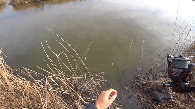 Рыбалка удалась))) смотреть онлайн