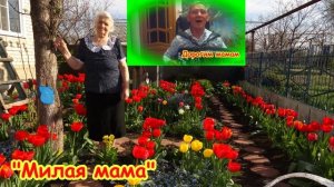 "МИЛАЯ МАМА"/ Александр Атюцкий.