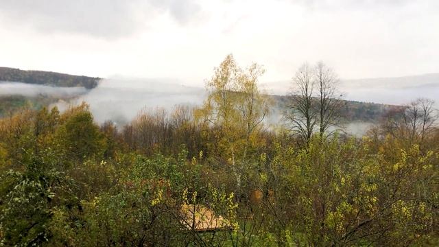 Мезмай. Темнолесская.