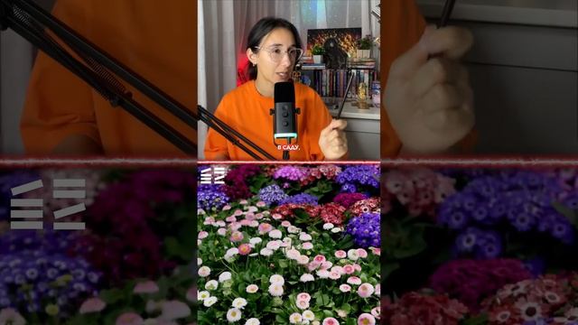 Запятые при причастном обороте #ЕГЭРусскийЯзык #Global_EE #ОГЭРусскийЯзык #СэвинджИсмаилова