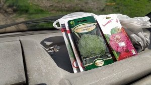 Где дешево закупиться семенами для посадки? Ездим только туда