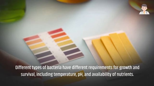 Introduction to Bacteriology: The Study of Bacteria (2 Minutes Microlearning)