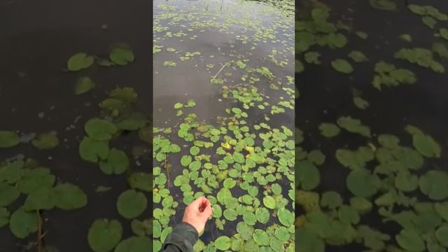 13 августа 2022 г. смотреть онлайн