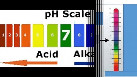 Mahsulotlar tarkibidagi quruq moddalar miqdori, kislotalilik, mineral qoldiqlar miqdorini aniqlash