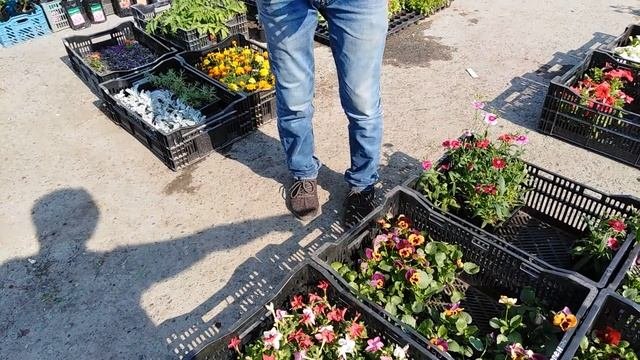 Огород на балконе. Мой домашний мини-огород
