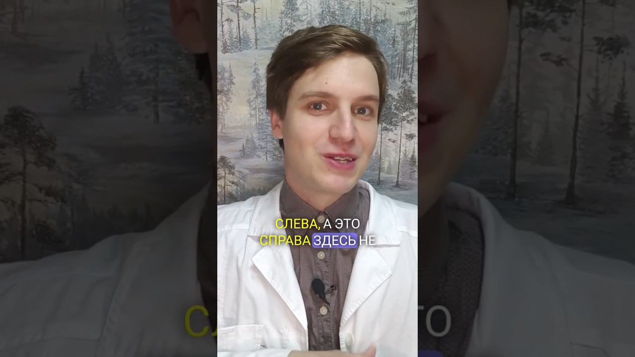Лучевая и локтевая кости 🦴 Как различить на рисунке? 🤯💥 #егэбио #егэбиология #биологияегэ #анатомия