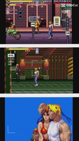Улицы ярости 3 (Sega)