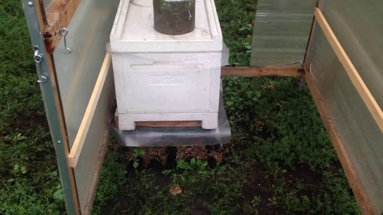 Пчеловодство.Полатка для работы с пчёлами в плохих погодных условиях. смотреть онлайн