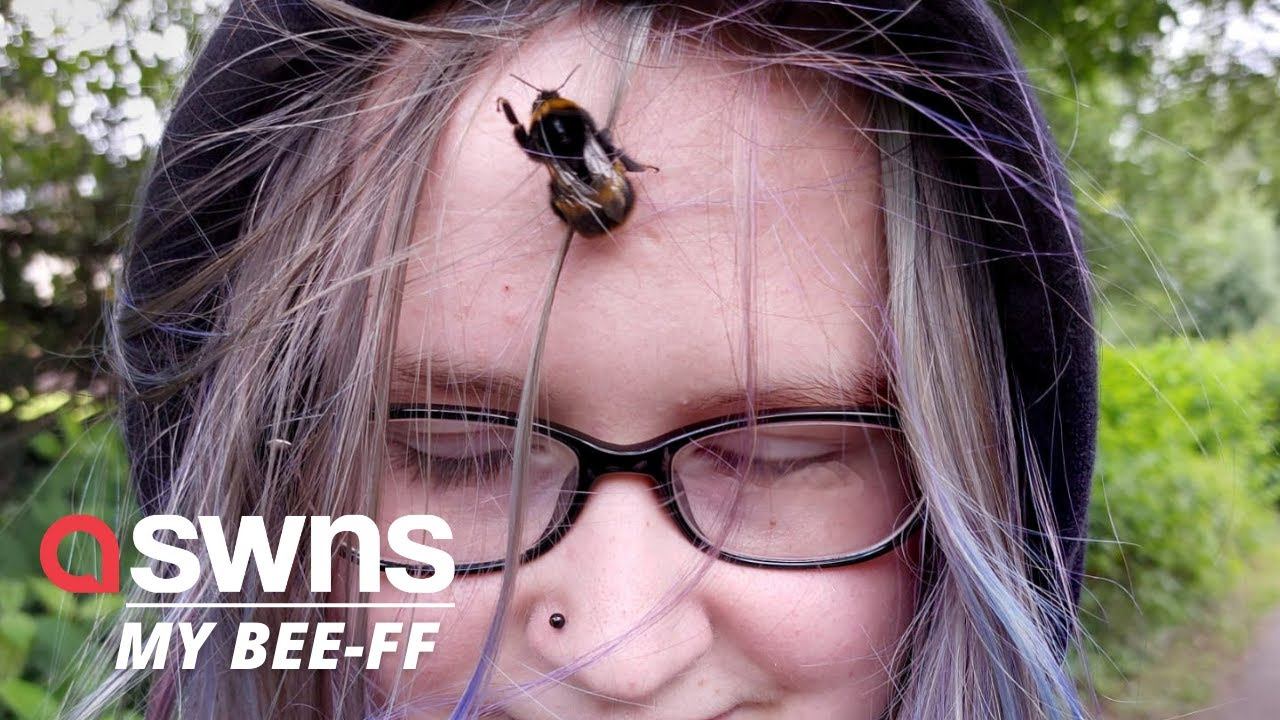 This bumblebee goes shopping and bowling because she won’t leave teen who saved her | SWNS смотреть онлайн