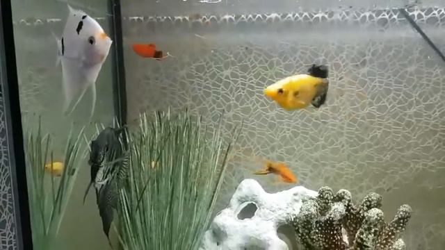 А у нас во дворе смотреть онлайн