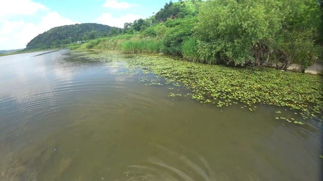 В поисках трофея (архив) смотреть онлайн