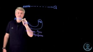 SmartLearn: Дмитрий Косенков "Цитохром Р450"