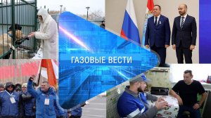 Газовые Вести 14.11.2024