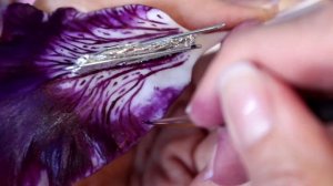 Ботаническая скульптура из холодного фарфора/Мурзилкина Ольга