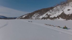 Камчатка. Ураганный ветер. Морозы минус 40. Гонка на собачьих упряжках финишировала: Берингия 2023!