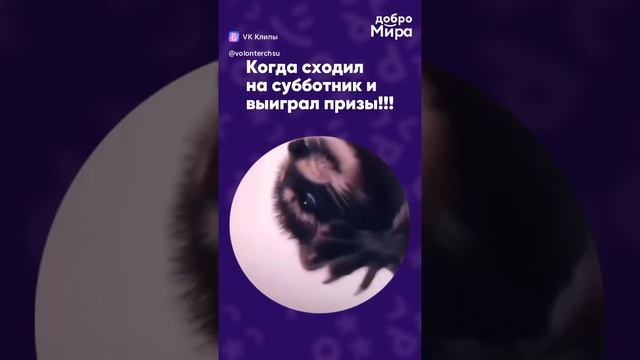 Клипы ВЦ Мира