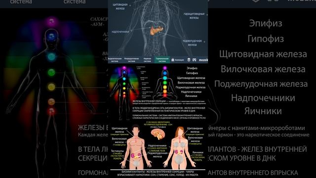Семь небо-с-Водных ограничений #железы #чакры #глазбога #глазгора #шишковиднаяжелеза #знания #поиск