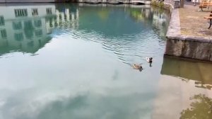 Интерлакен, Швейцария, 4K, прогулка под дождем в самом красивом швейцарском городе