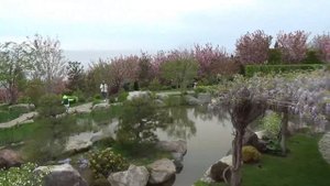 Поездка в Японский садик