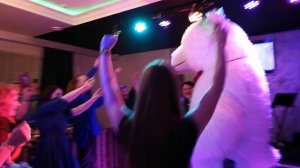 Мишка как обычно мега хорош! Поздравление белый мишка