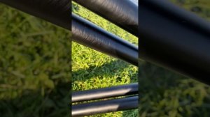 Обзор карпового род пода Dayco!!!