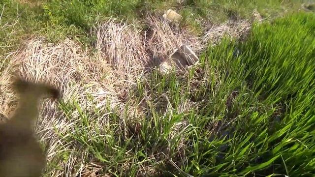 5 июля 2023 г. смотреть онлайн