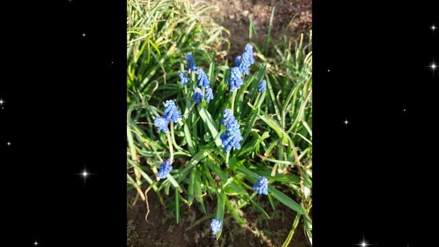 Гарри Поттер и Орден Феникса. Глава 32 _ Аудиокнига смотреть онлайн