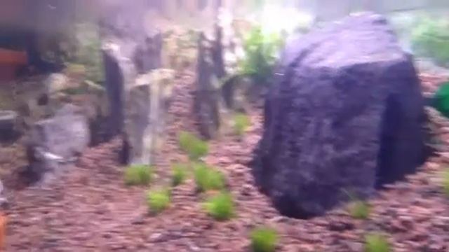 14. Stonehenge - pH/kH/CO2 смотреть онлайн