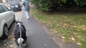 27 октября 2024 г.(3)