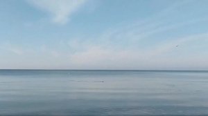 АЗОВСКОЕ МОРЕ ЗИМОЙ курорт в зимнее время года