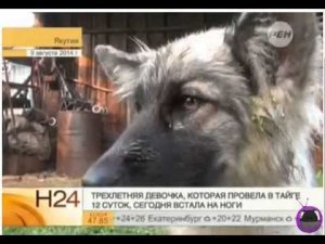 Трехлетняя девочка с щенком выжили 12 дней в тайге