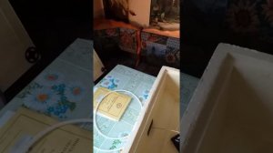 Обзор инкубатора Золушка 2020