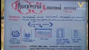 ფუტკრის დაავადებები Болезни пчел   диагностика, оздоровление, профилактика 1