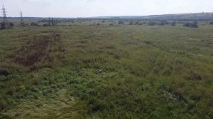 Десикация рапса агродроном. Авиа Агроном