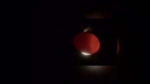 Ого! ОНИ ЖИВЫЕ! Из самодельного инкубатора вывелись птенцы./ часть 2