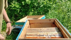 проверил как поживают отводки и рои