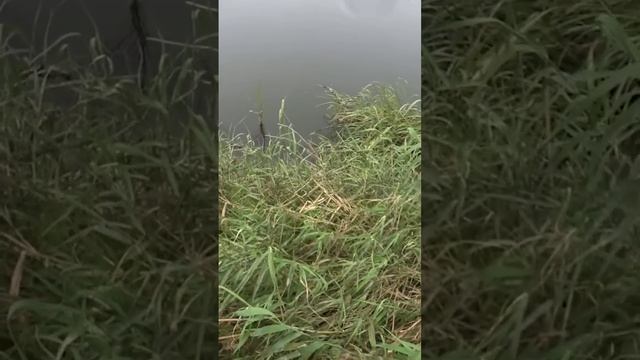 19 сентября 2022 г. смотреть онлайн