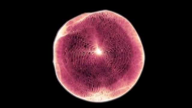 What is Astrobiology Explained