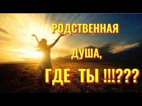 РОДСТВЕННАЯ ДУША,  ГДЕ  ТЫ???!!!#мудрость#цитаты#родственныедуши#жизнь#эзотерика