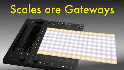 Ableton Push 3 & Scales: Start Your Adventure