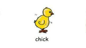How to Pronounce Chick in British English