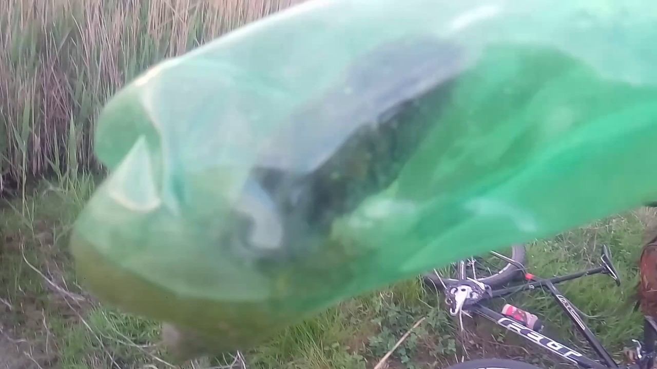 Спасение мышонка ! смотреть онлайн