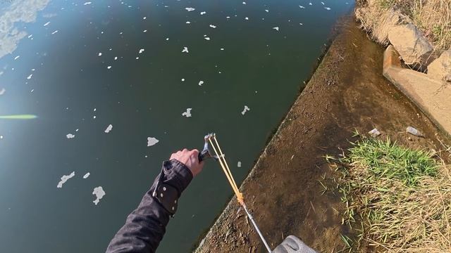 Трофей под конец сезона (охота с рогаткой) смотреть онлайн