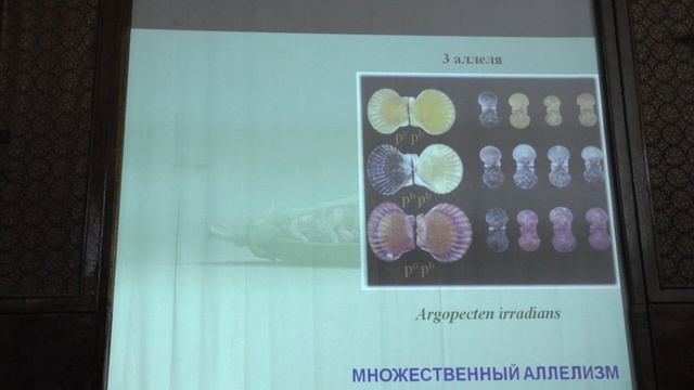 Ким А. И. - Генетика - 6. Аутосомно-доминантное и аутосомно-рецессивное наследование