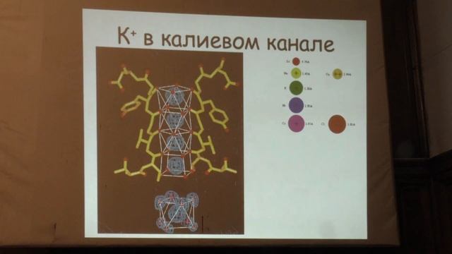 Копылов А. М. - Химические основы биологических процессов - 4. Биологические мембраны