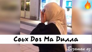 Соьх Дог Ма Дилла😍