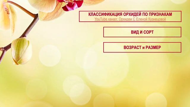# 167 Хватит терять орхидеи! Основы ухода за домашними орхидеями. Орхидейная методология #орхоуроки