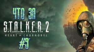 Что за ★ S.T.A.L.K.E.R. 2: Heart of Chornobyl #9