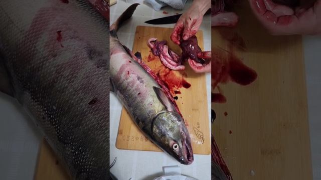 Раздела кеты смотреть онлайн